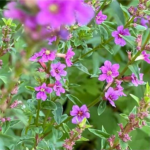 1984年の映画 バック トゥ ザ フューチャー のテーマ曲とエディ ヴァン ヘイレンのギター あい青子 大好きだった曲 と 手離し服 で幸せを感じる 認知症の予防と介護 1984年の映画 バック トゥ ザ フューチャー のテーマ曲とエディ ヴァン ヘイレンのギター あい青子 大好きだった曲 と 手離し服 で幸せを感じる 認知症の予防と介護