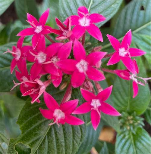 f:id:AIaoko:20211206171728j:image