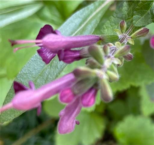 f:id:AIaoko:20220222041704j:image f:id:AIaoko:20220222041704j:image