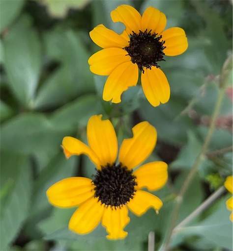 f:id:AIaoko:20230119080446j:image f:id:AIaoko:20230119080446j:image