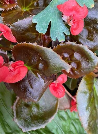f:id:AIaoko:20230204072427j:image f:id:AIaoko:20230204072427j:image