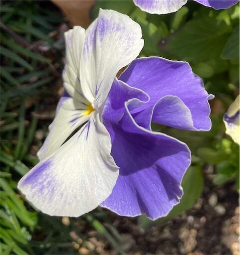 f:id:AIaoko:20230408153532j:image