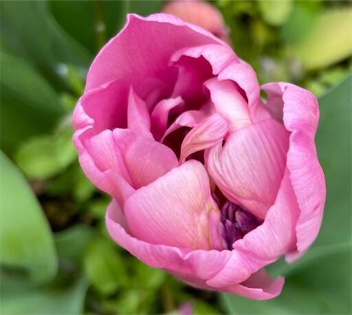 f:id:AIaoko:20230418234424j:image