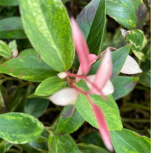 f:id:AIaoko:20230824181907j:image