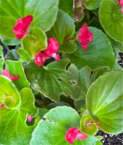 f:id:AIaoko:20230825163330j:image f:id:AIaoko:20230825163330j:image