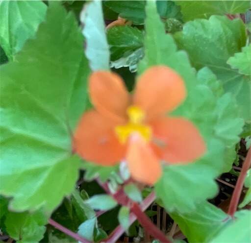 f:id:AIaoko:20230825183850j:image