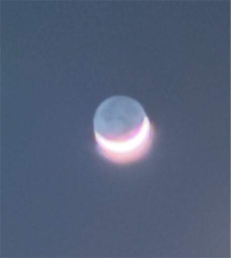f:id:AIaoko:20240513123126j:image f:id:AIaoko:20240513123126j:image