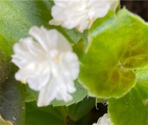 f:id:AIaoko:20240522133813j:image f:id:AIaoko:20240522133813j:image