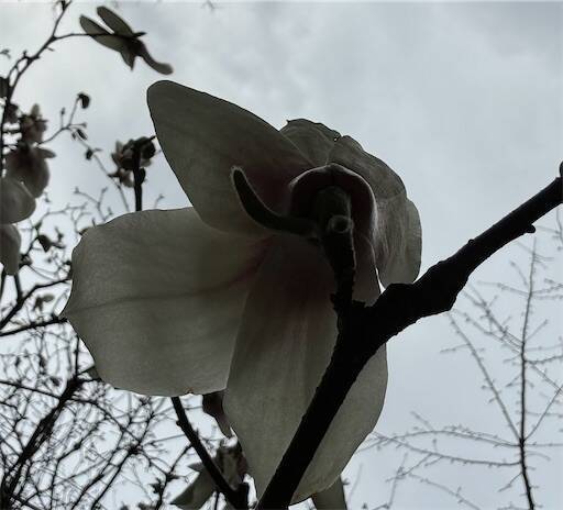 f:id:AIaoko:20240814085521j:image f:id:AIaoko:20240814085521j:image
