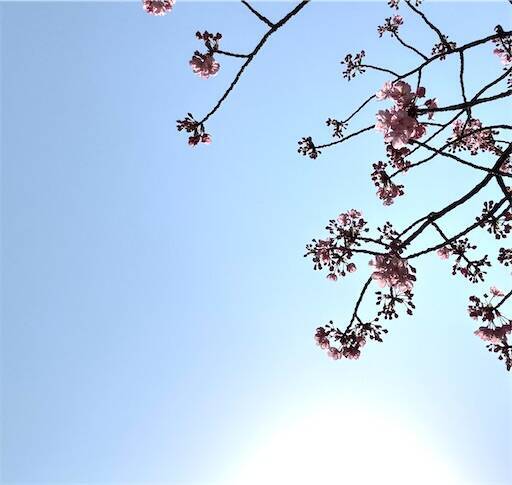 f:id:AIaoko:20250331062850j:image