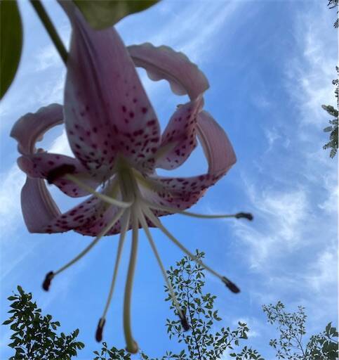 f:id:AIaoko:20251026143614j:image f:id:AIaoko:20251026143614j:image