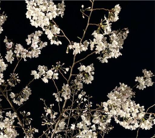 f:id:AIaoko:20260101102451j:image f:id:AIaoko:20260101102451j:image