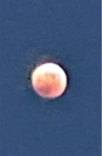 f:id:AIaoko:20260621125153j:image f:id:AIaoko:20260621125153j:image