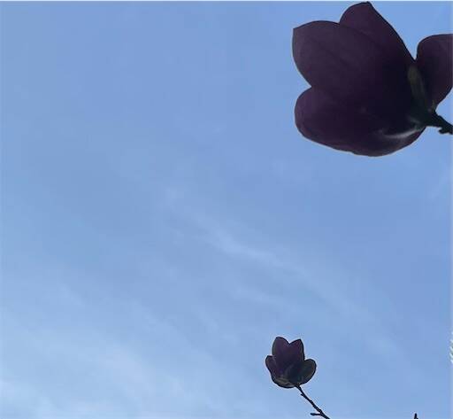 f:id:AIaoko:20260827104924j:image f:id:AIaoko:20260827104924j:image