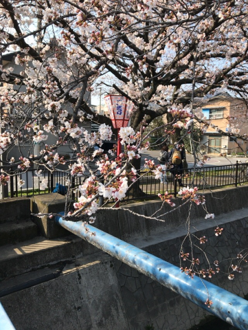 f:id:AJYA:20180327060007p:plain