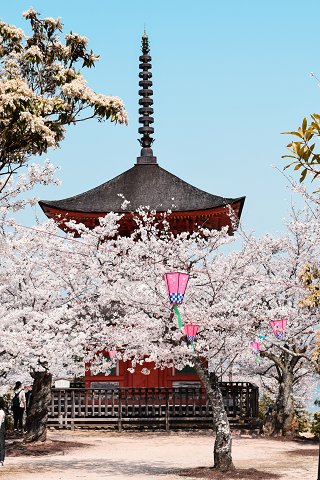 f:id:AJYA:20190404125501p:plain