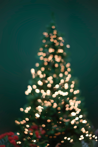 クリスマスツリー