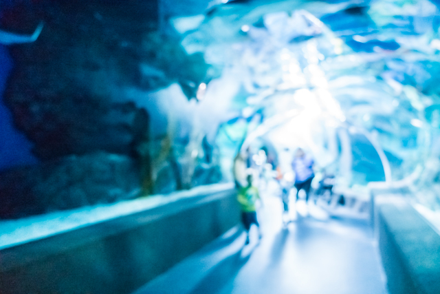 水族館