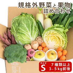 Cellpadding Color むくみの科学 〜塩分・水分・血流と