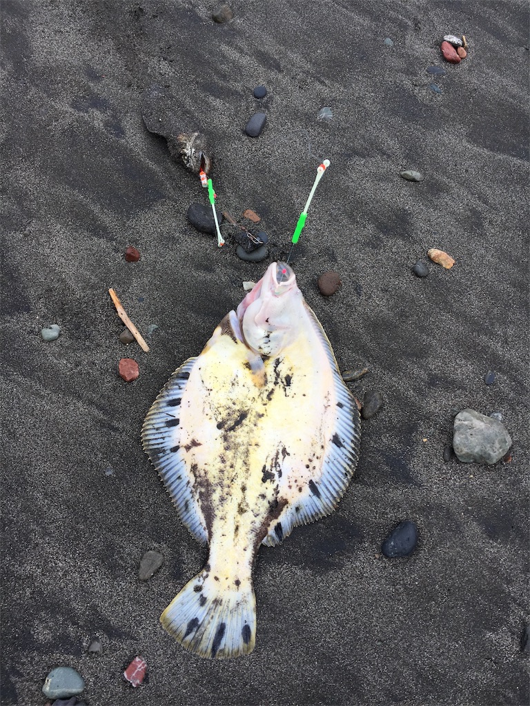 日高の釣り 日高の釣り