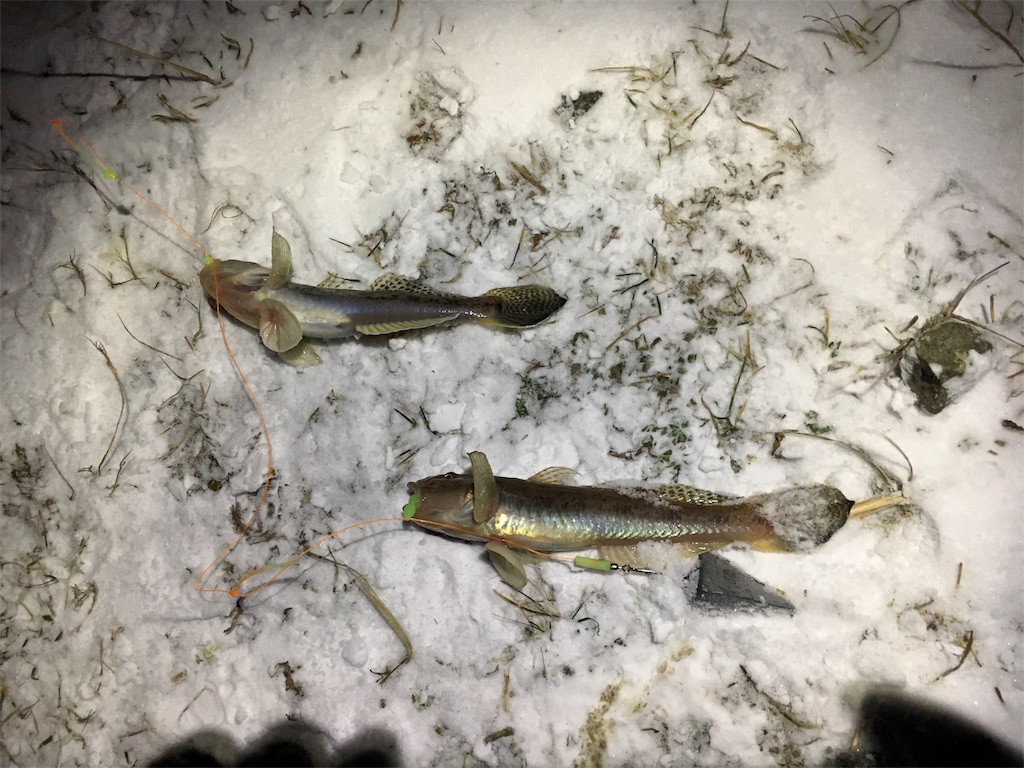 f:id:AKAMIMI:20161124130859j:image f:id:AKAMIMI:20161124130859j:image