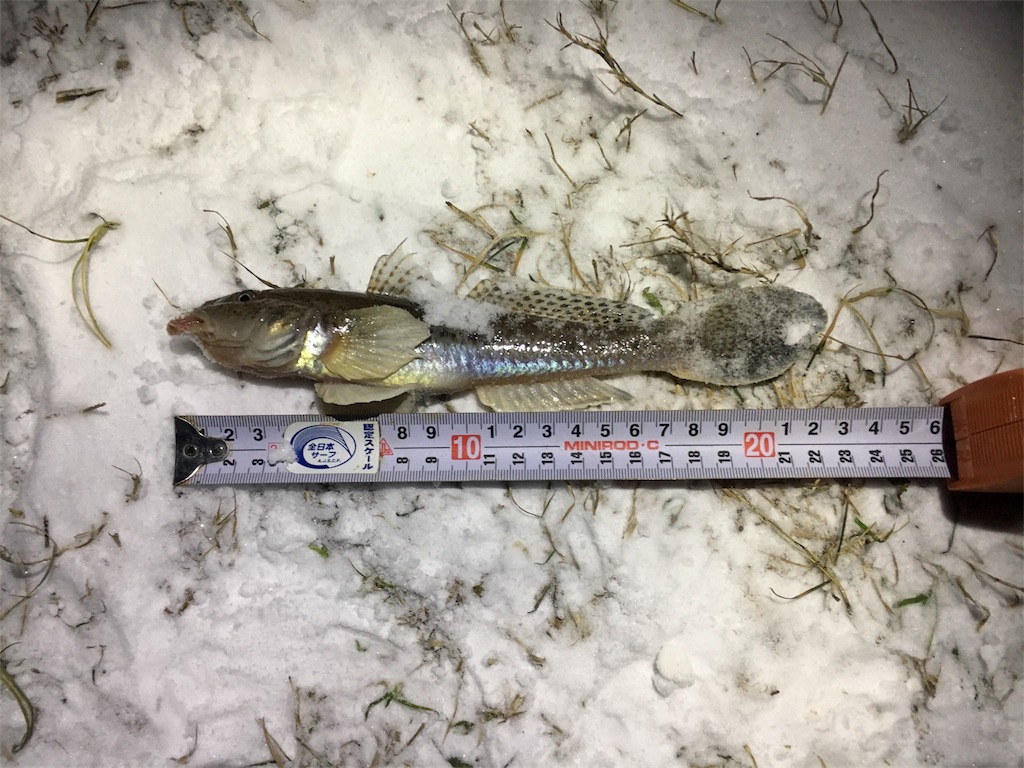 f:id:AKAMIMI:20161124135119j:image f:id:AKAMIMI:20161124135119j:image