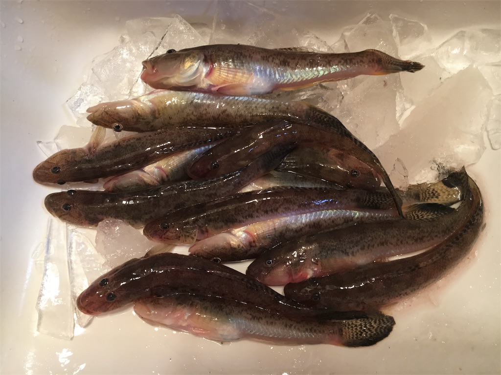 f:id:AKAMIMI:20161124135600j:image f:id:AKAMIMI:20161124135600j:image