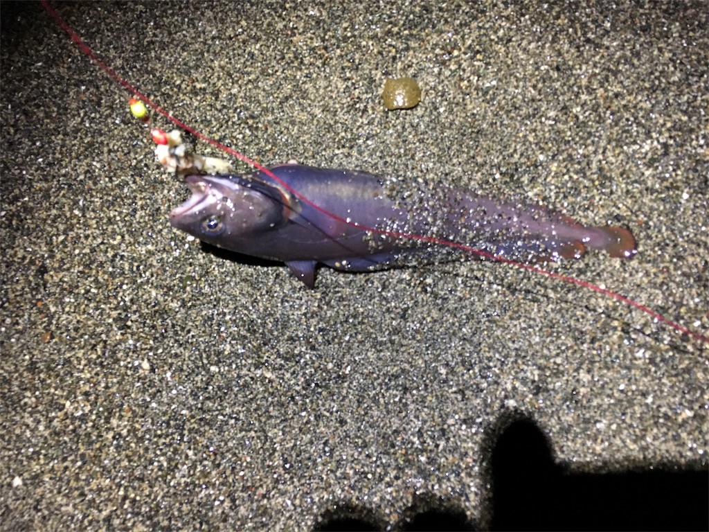 f:id:AKAMIMI:20161204214917j:image f:id:AKAMIMI:20161204214917j:image