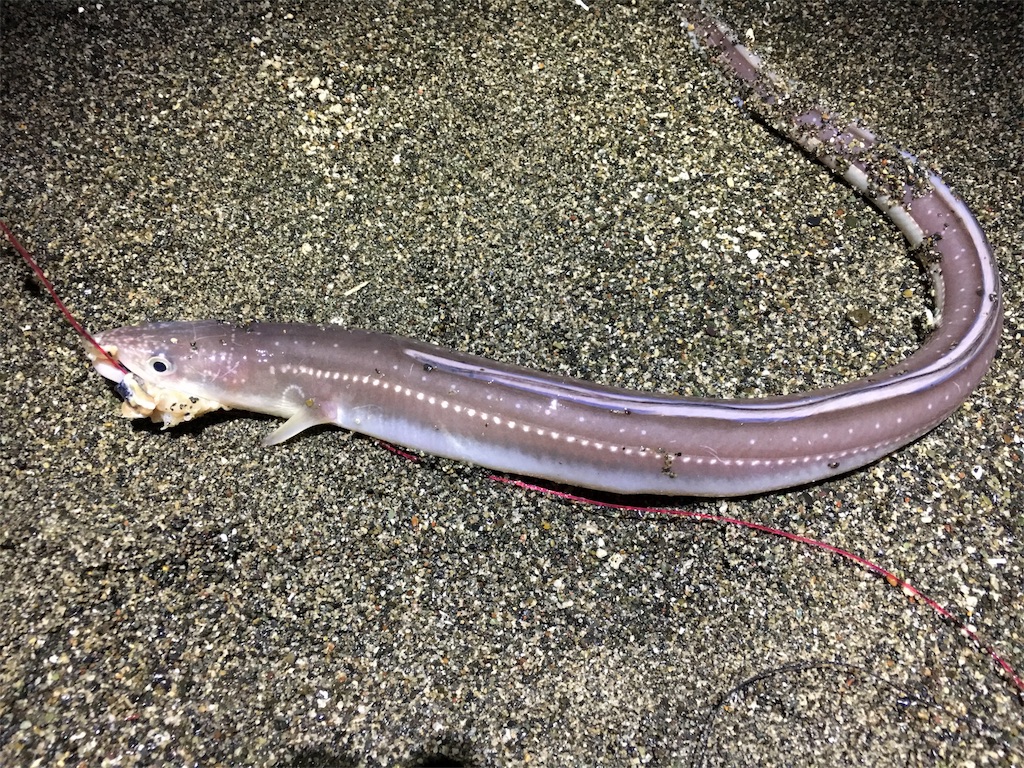 f:id:AKAMIMI:20161204215329j:image f:id:AKAMIMI:20161204215329j:image