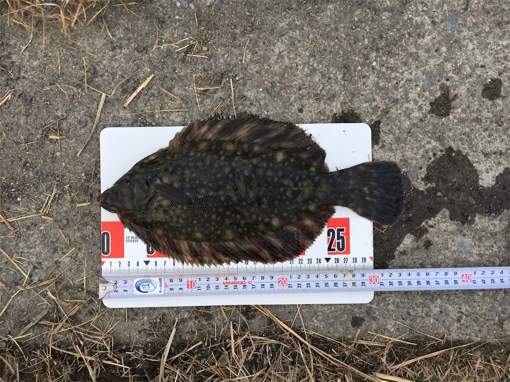 f:id:AKAMIMI:20170315090358j:image