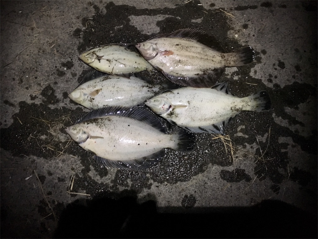 f:id:AKAMIMI:20170315093649j:image