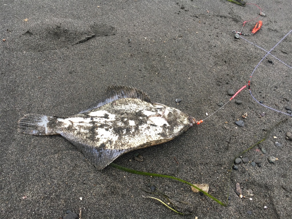 f:id:AKAMIMI:20170805201111j:image f:id:AKAMIMI:20170805201111j:image