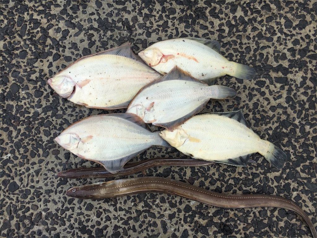 f:id:AKAMIMI:20170805202946j:image f:id:AKAMIMI:20170805202946j:image