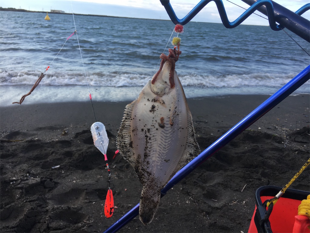 f:id:AKAMIMI:20170930112740j:image f:id:AKAMIMI:20170930112740j:image