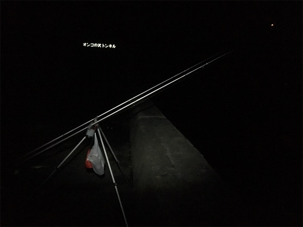 f:id:AKAMIMI:20171019071747j:image f:id:AKAMIMI:20171019071747j:image