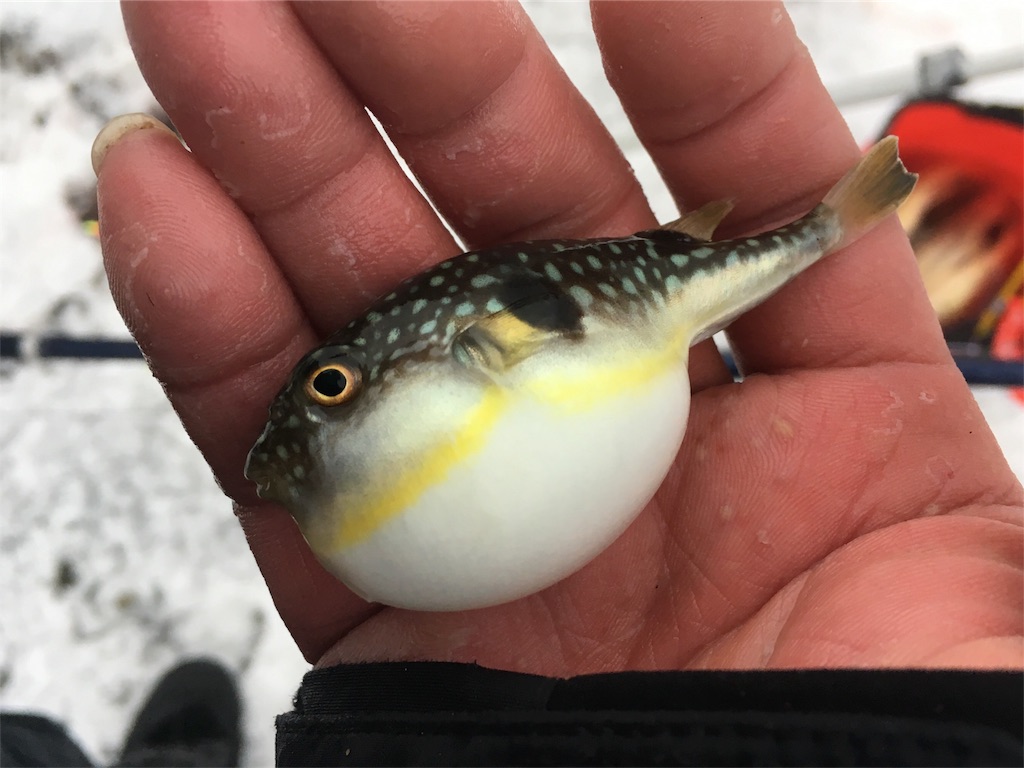 f:id:AKAMIMI:20171203204709j:image f:id:AKAMIMI:20171203204709j:image