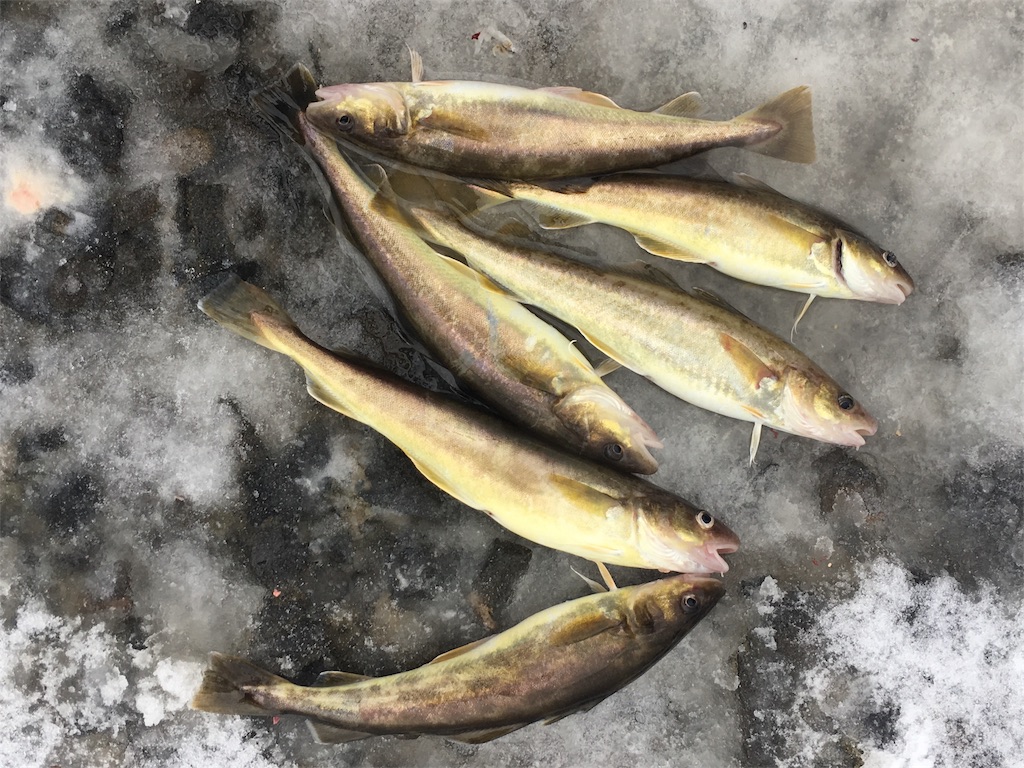 f:id:AKAMIMI:20171203205025j:image f:id:AKAMIMI:20171203205025j:image