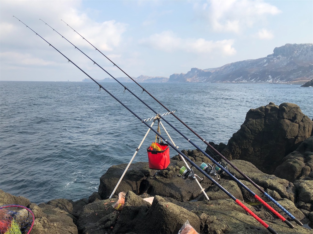f:id:AKAMIMI:20190301195316j:image