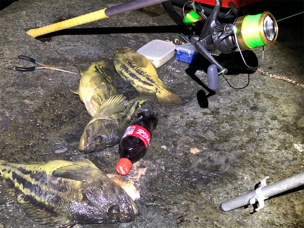 f:id:AKAMIMI:20190429171505j:image