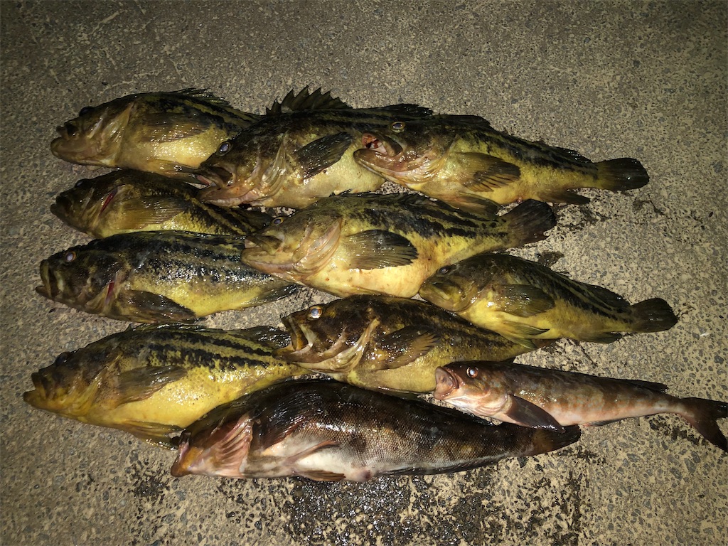 f:id:AKAMIMI:20190429172942j:image