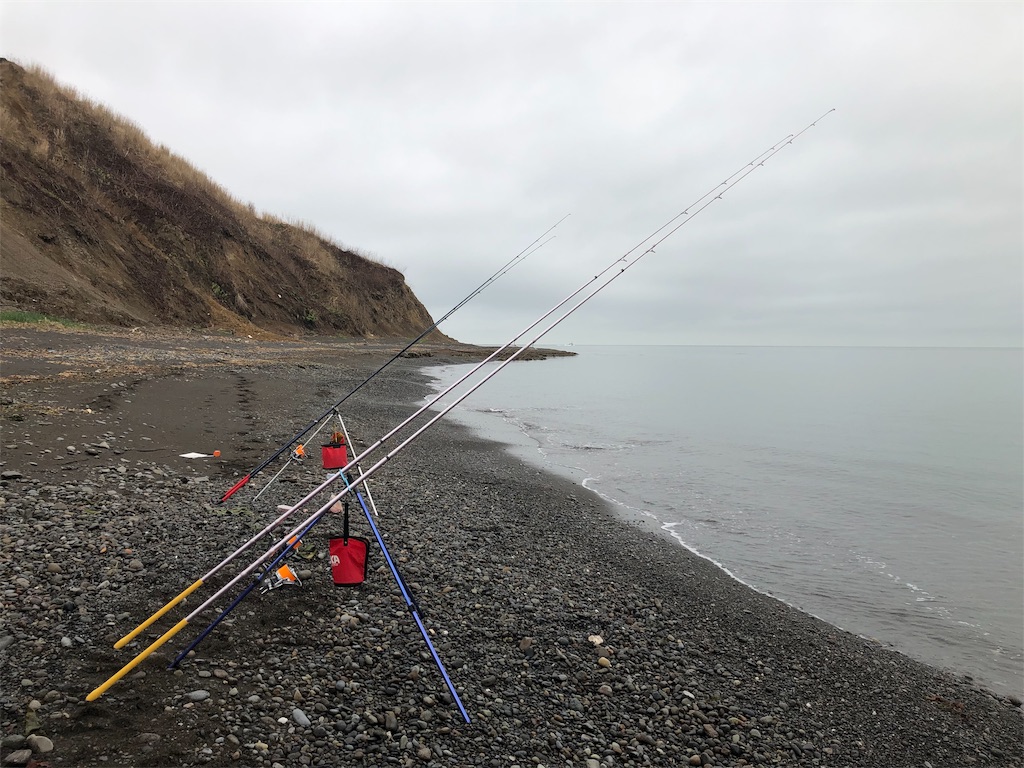 f:id:AKAMIMI:20190501155232j:image