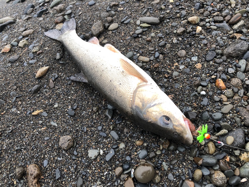 f:id:AKAMIMI:20190501162410j:image