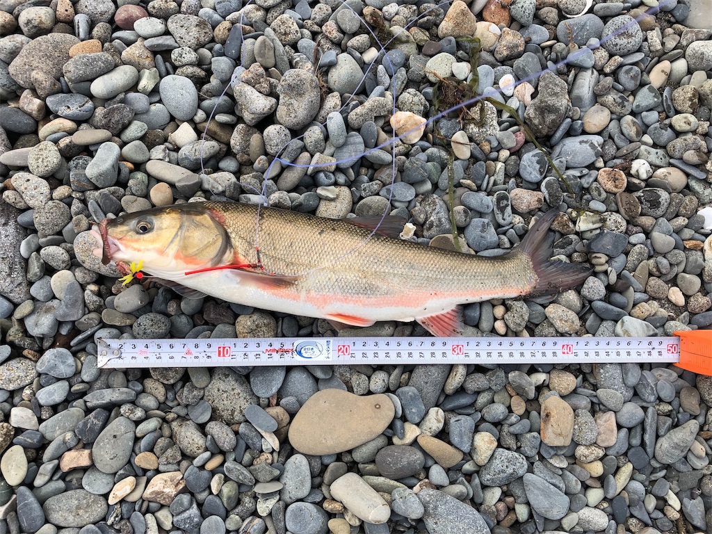 f:id:AKAMIMI:20190501162647j:image