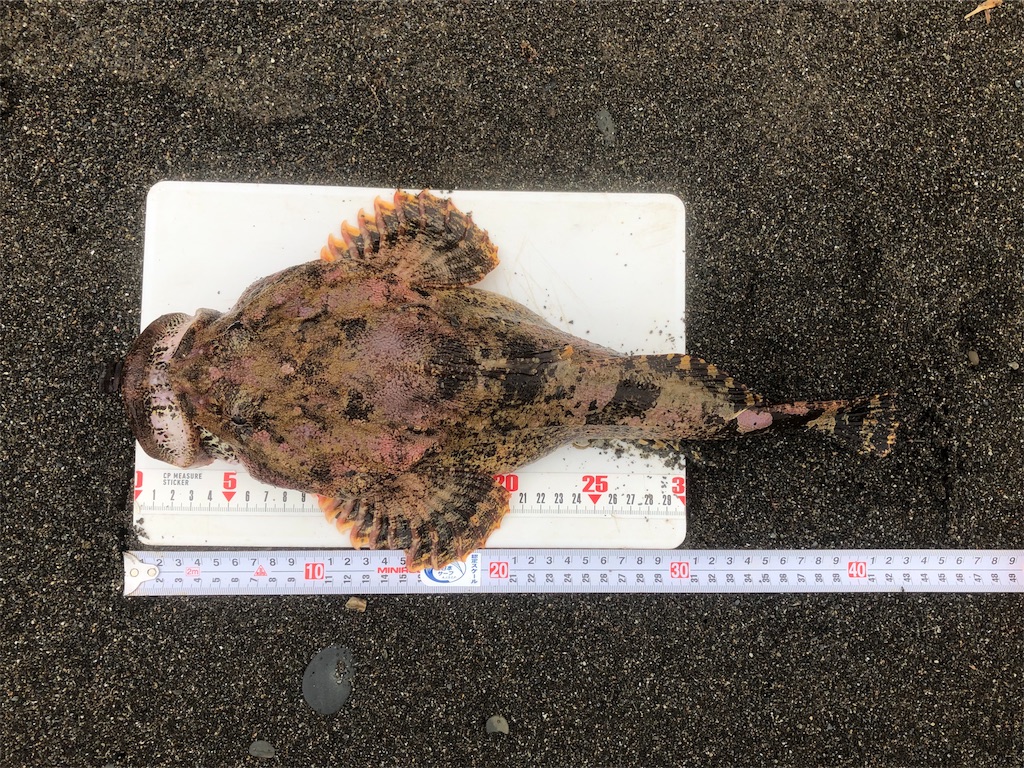 f:id:AKAMIMI:20190501170358j:image