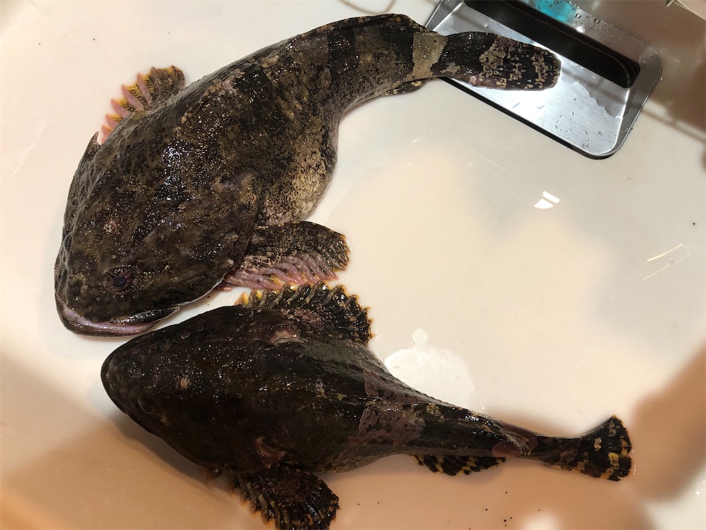 f:id:AKAMIMI:20201028010407j:plain