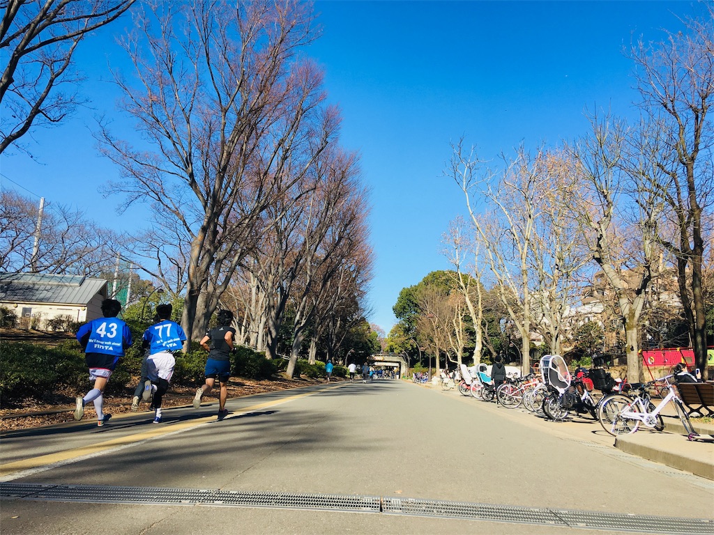 f:id:AKARI_PAPA:20181230122857j:image