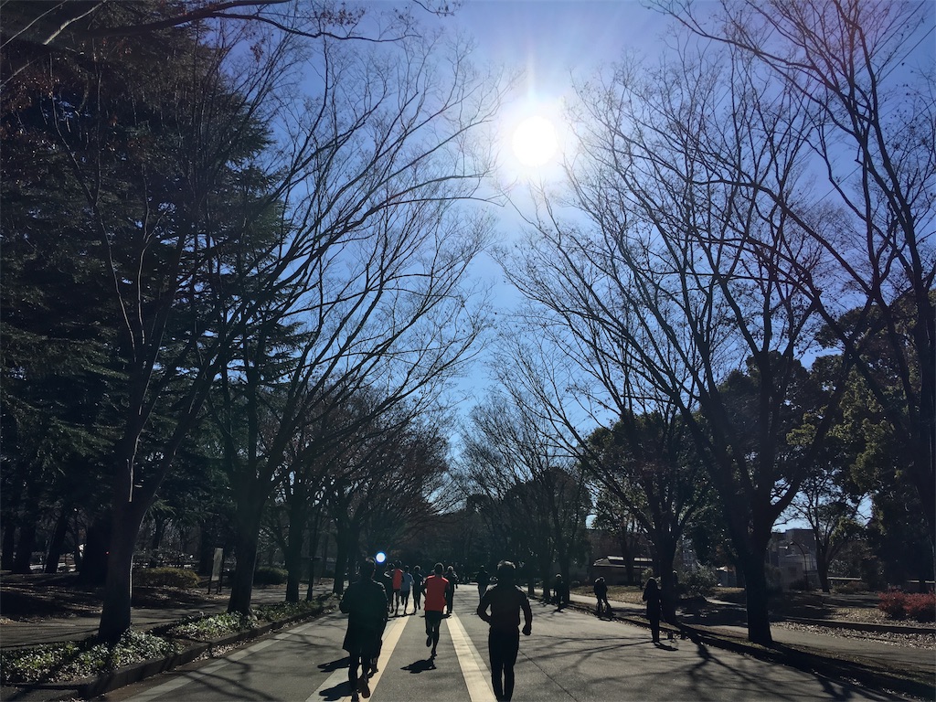 f:id:AKARI_PAPA:20181230122917j:image