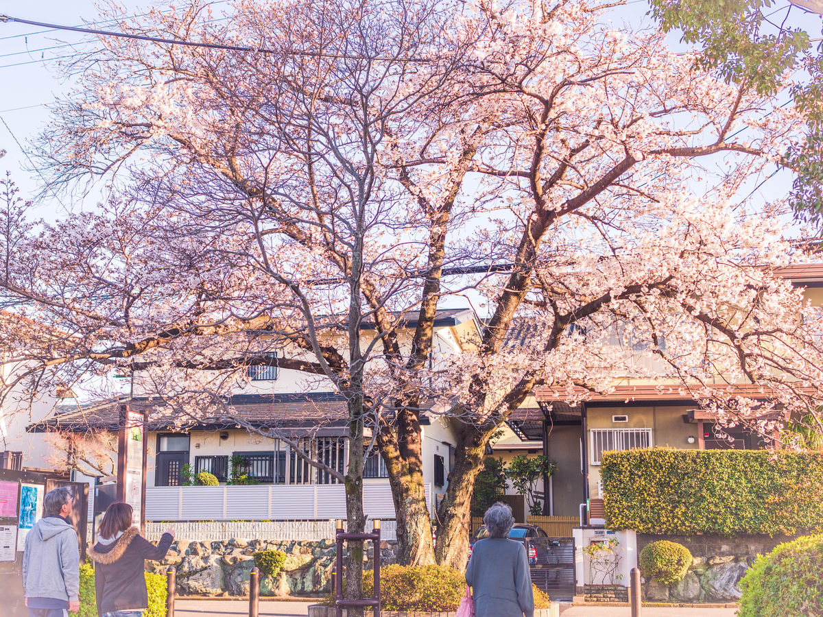 f:id:AKARI_PAPA:20200329065828j:plain