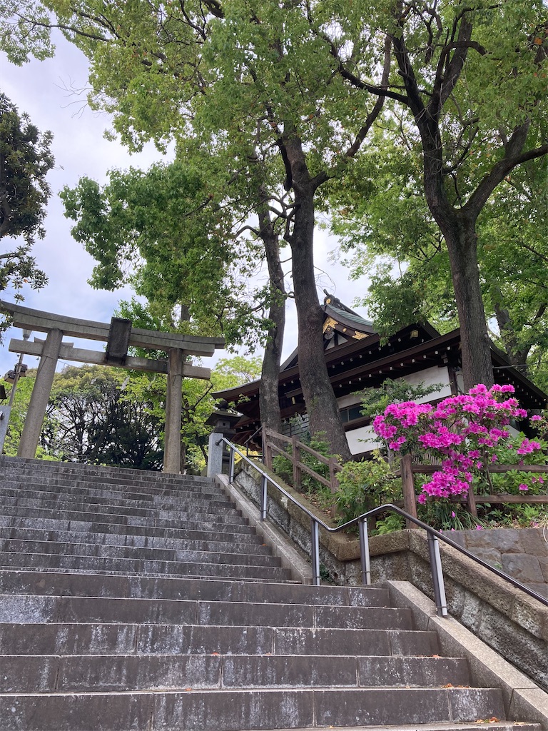 f:id:AKARI_PAPA:20200517121054j:image