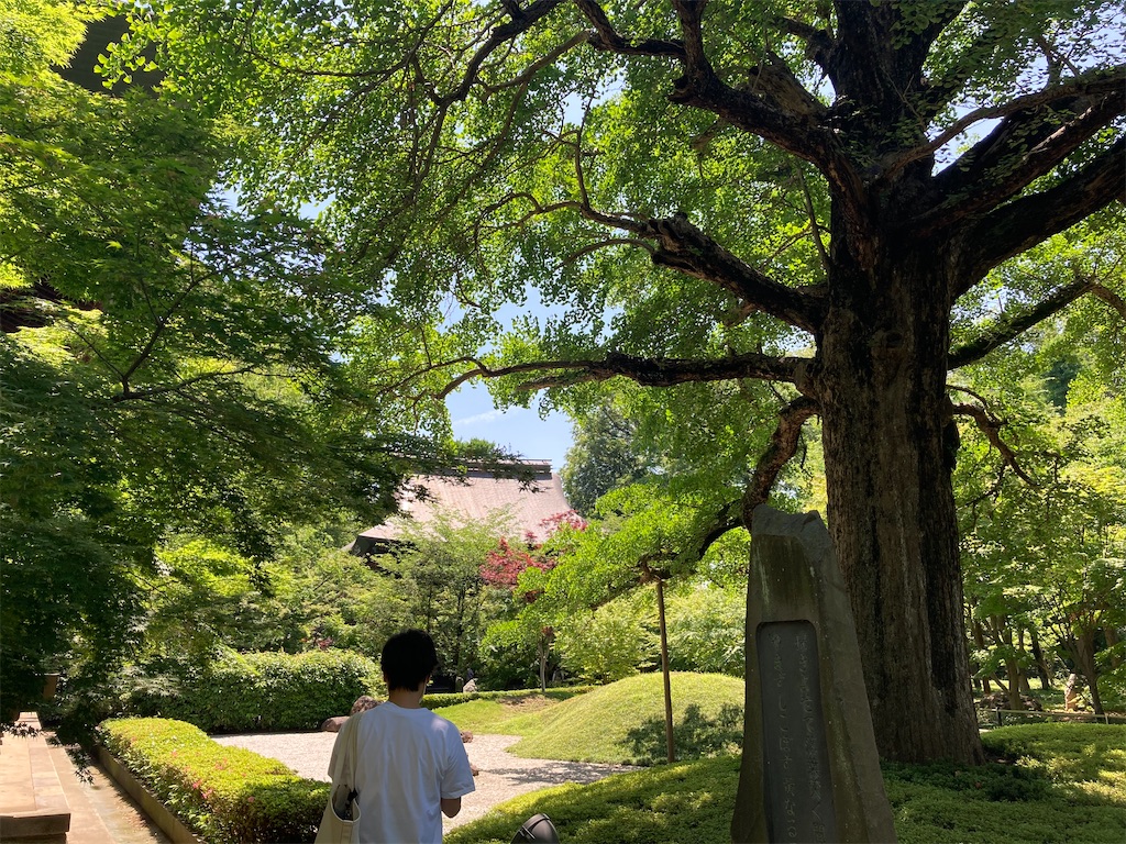 f:id:AKARI_PAPA:20200517121228j:image